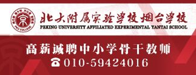 北京北大公学教育投资有限公司