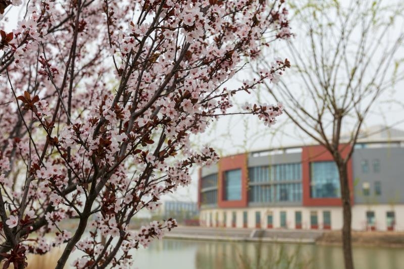 潍坊职业学院在第五届全国职业院校教师微课大赛中获佳绩