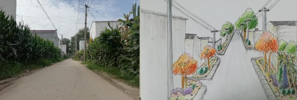 街道原貌和陈静静同学绘制的街道美化效果图