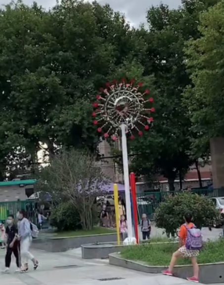 太阳花给我朝向理想的勇气