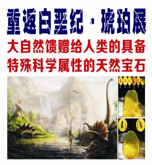 生命科学学院举办琥珀科普展