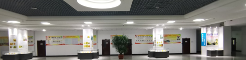 生命科学学院举办琥珀科普展