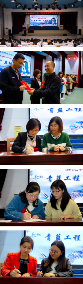 青蓝相继 共育桃李