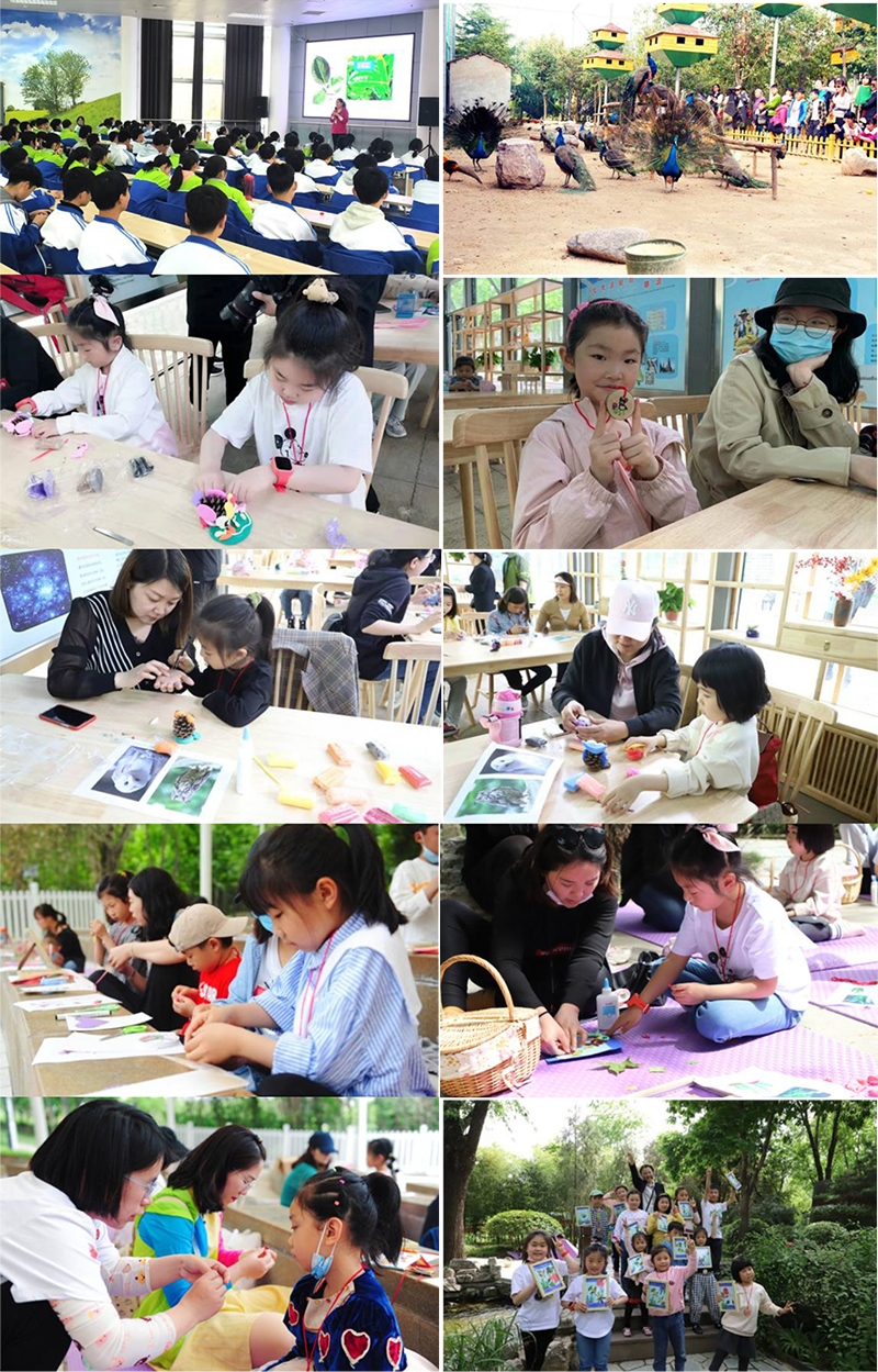 郑州绿博园图-5.jpg
