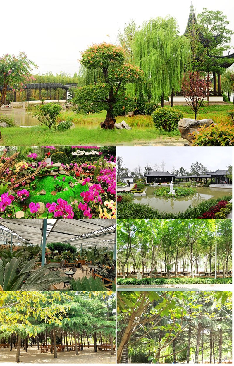 郑州绿博园图-8.jpg