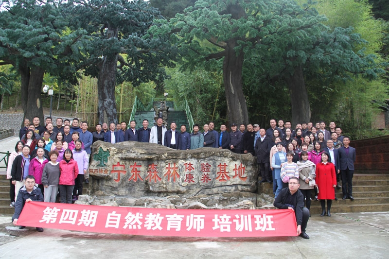 图片13.png