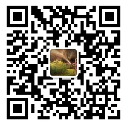 叶艳平-教师人才网.jpg
