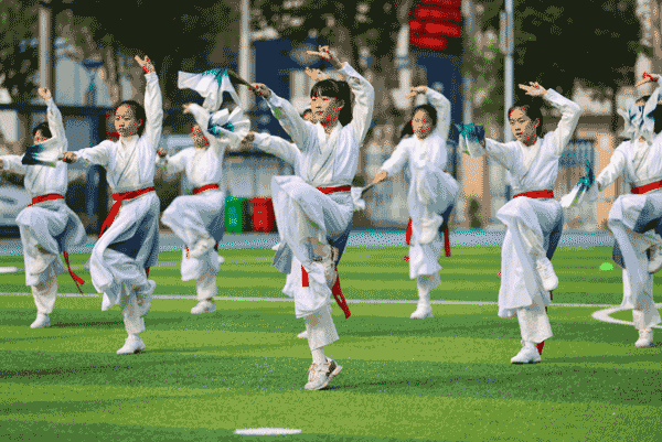 5.gif